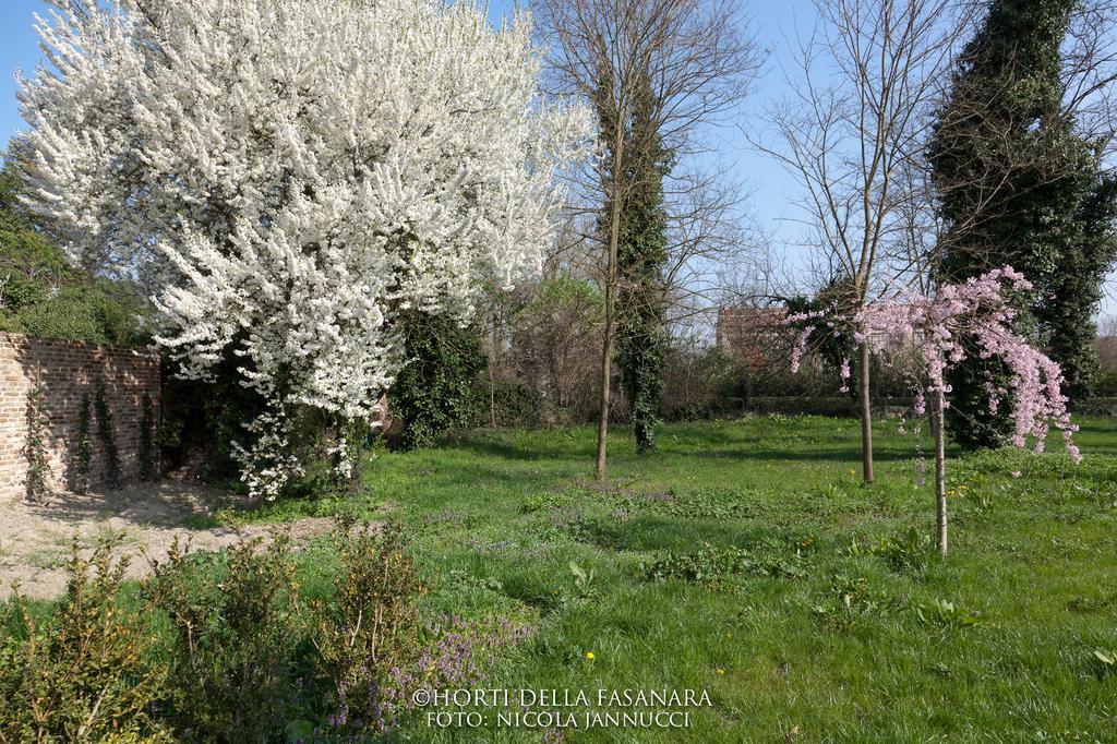 Horti Della Fasanara Guest House Ferrara Eksteriør bilde